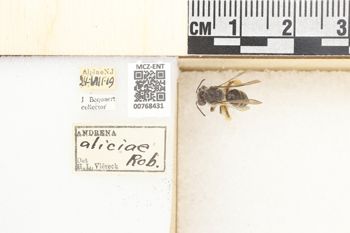Media type: image;   Entomology 768431 Aspect: Labels